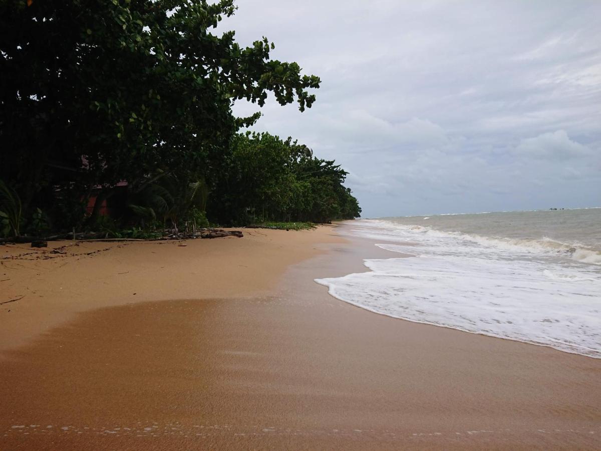 Le Dugong Libong Resort Extérieur photo